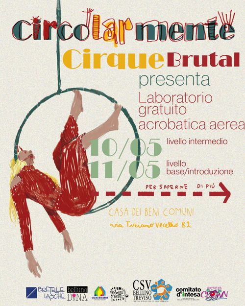Laboratorio di acrobatica aerea 
