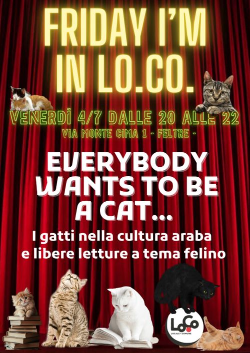 Everybody wants to be a cat - Friday I'm in LoCo