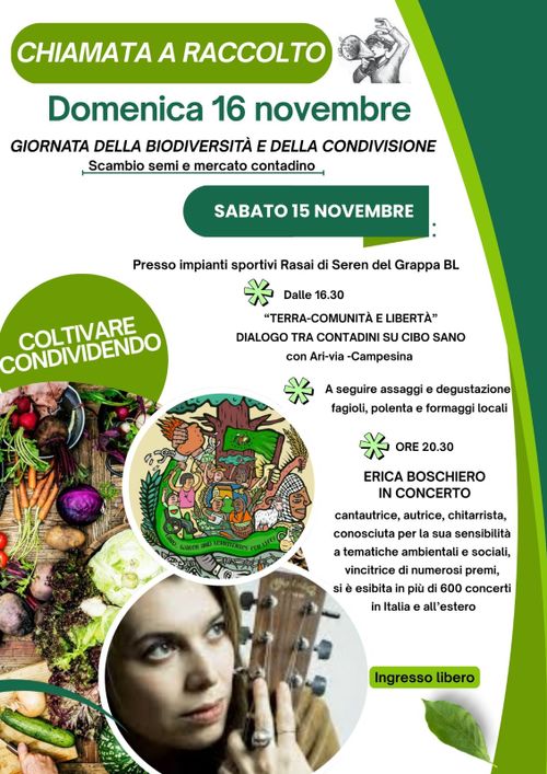 Erica Boschiero in concerto